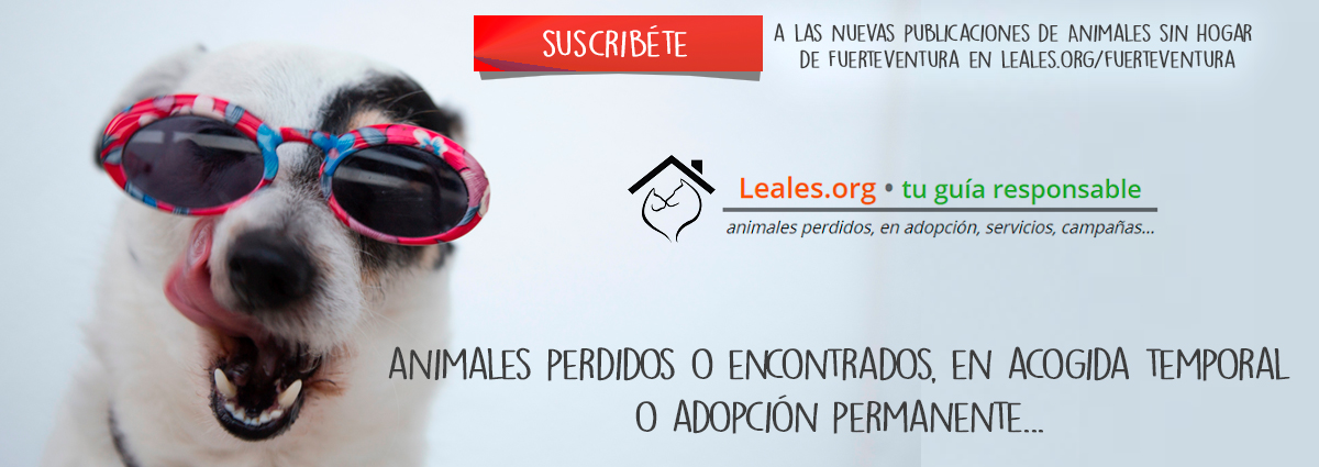 Leales.org es la mejor WebApp para buscar o difundir animales perdidos o encontrados, en acogida temporal
o adopción permanente, servicios o profesionales, eventos o campañas, 'sitios animables', artículos y blogs.. 